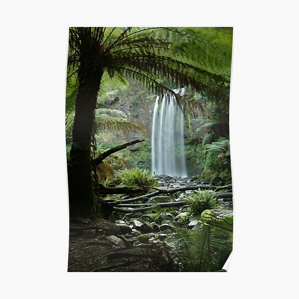 Joe Mortelliti Gallery - Hopetoun Falls, Otways Forest, Victoria, Australia. Poster