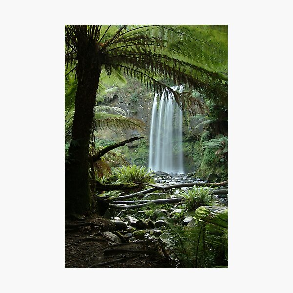 Joe Mortelliti Gallery - Hopetoun Falls, Otways Forest, Victoria, Australia. Photographic Print