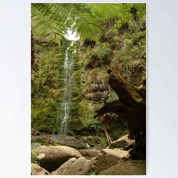 Item preview, Joe Mortelliti Gallery - Erskine Falls, near Lorne, Otways Forest, Victoria, Australia. designed and sold by thisisaustralia.