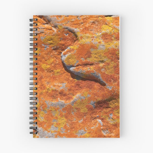 Item preview, Contentment designed and sold by Werner Padarin.