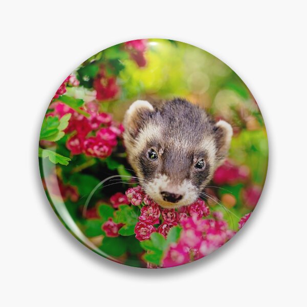 Item preview, Beautiful Ferret in Pink designed and sold by PurpleBluesPets.