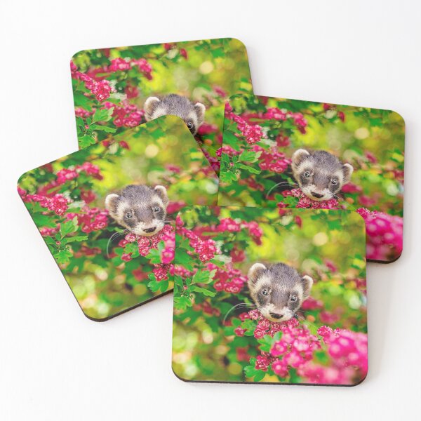 Item preview, Beautiful Ferret in Pink designed and sold by PurpleBluesPets.