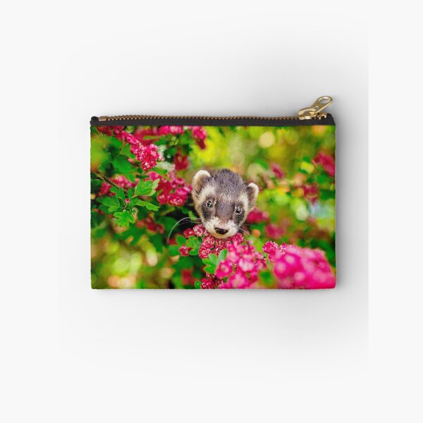 Item preview, Beautiful Ferret in Pink designed and sold by PurpleBluesPets.