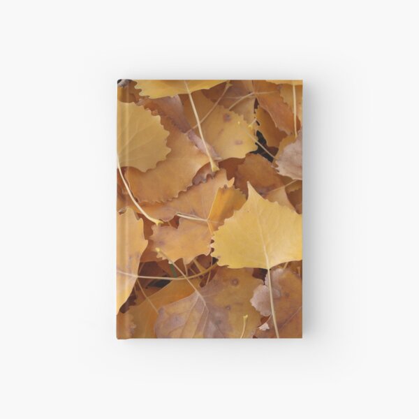 Fallen Leaves 2 Hardcover Journal