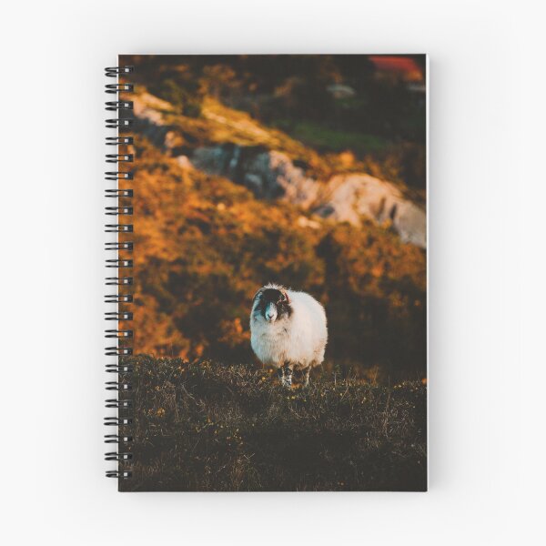 Item preview, Irish Sheep in Beara  designed and sold by Teernahillane.