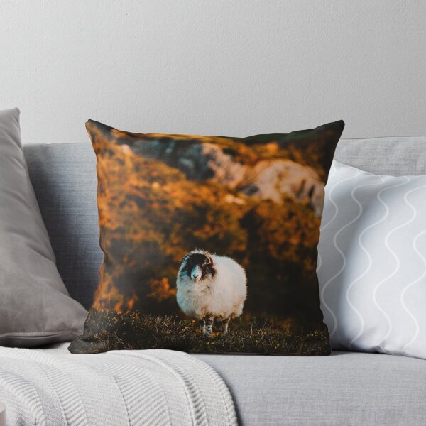 Item preview, Irish Sheep in Beara  designed and sold by Teernahillane.