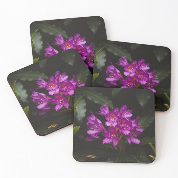 Item preview, Irish Rhododendron Beara IRELAND designed and sold by Teernahillane.