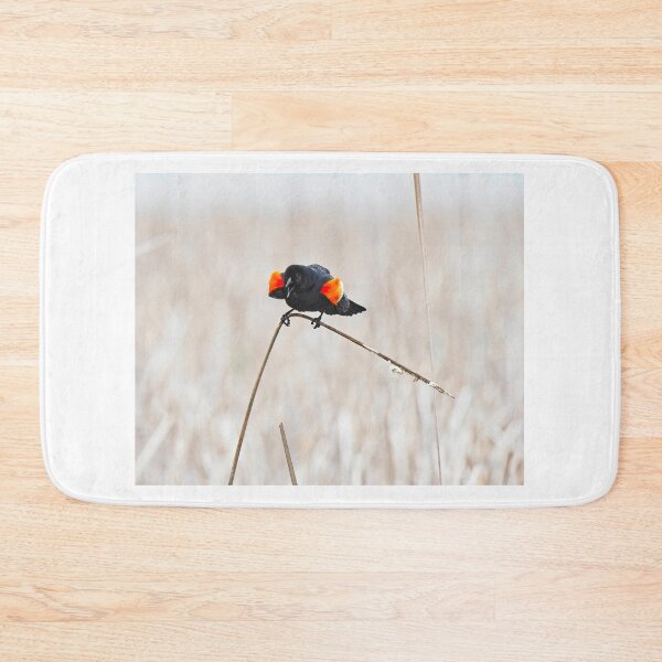 Item preview, Mirlo de alas rojas 8, UW Arboretum, Madison, WI designed and sold by StevenRalserPhoto.