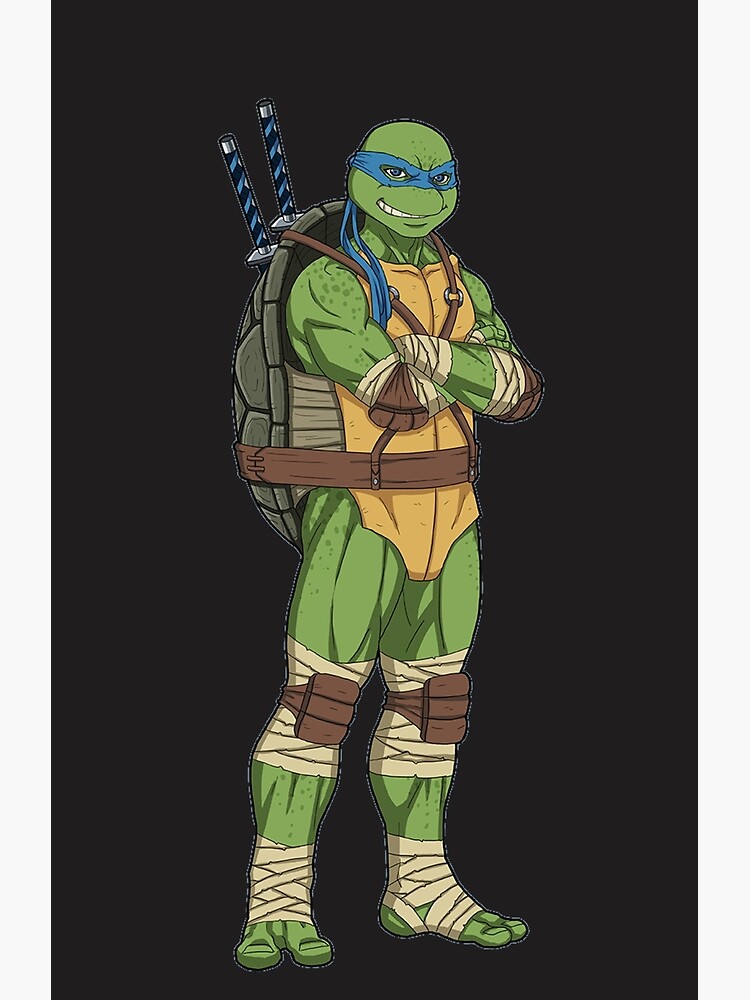 Teenage Mutant Ninja Turtles, Earth-27 Wiki