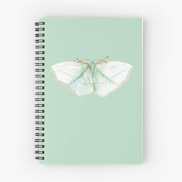 Item preview, Soft Green Geometer Moth Watercolor Painting designed and sold by Danica Templeton.