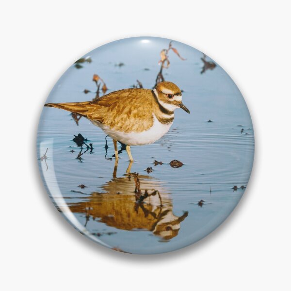 Item preview, Killdeer III designed and sold by PhotoArt by Joan Carroll.