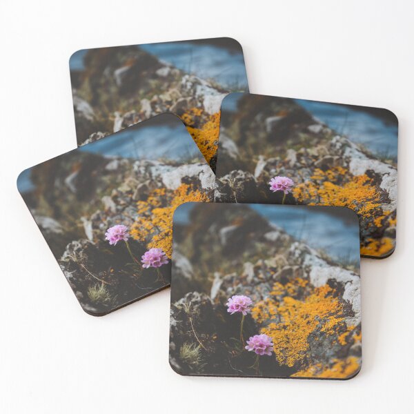 Item preview, Beara Coast Flower IRELAND  designed and sold by Teernahillane.