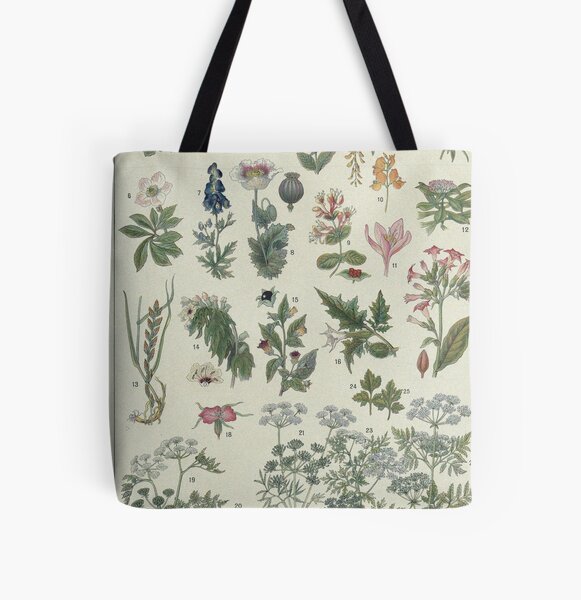 Item preview, Poisonous plants, Plantes vénéneuses, Botanical illustration designed and sold by Polarys.