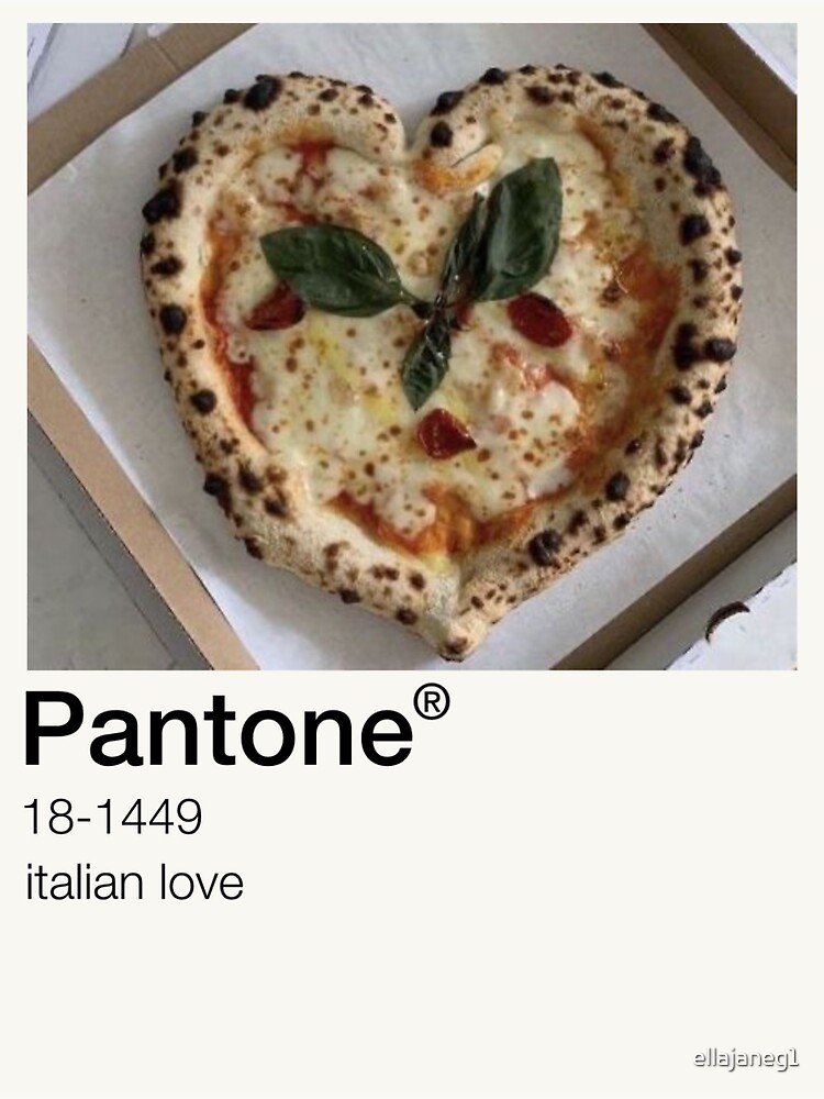"Pantone Pizza Aesthetic Swatch" Sticker for Sale by ellajaneg1 Redbubble