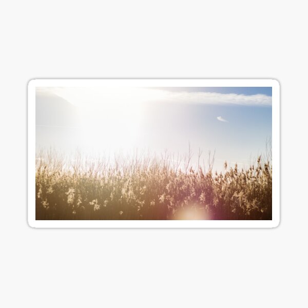 Item preview, Grassy designed and sold by JP Smith.