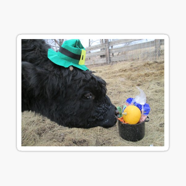 Leprechaun Jobie's Treasure Sticker