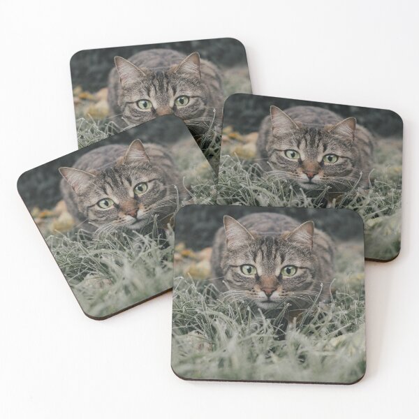 Item preview, Listo para saltar gato designed and sold by WriteThatDown.