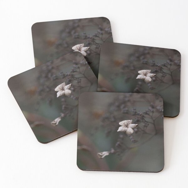 Item preview, Withering flower designed and sold by hillzPhotoz-19.