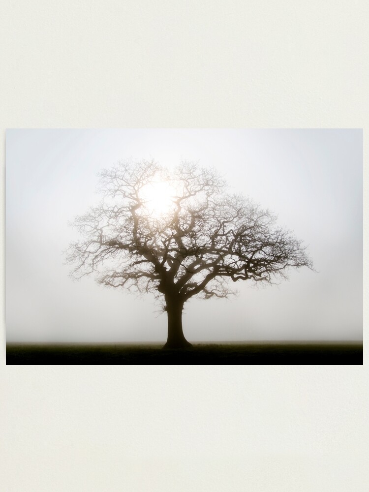 Alternate view of Misty Morning Photographic Print