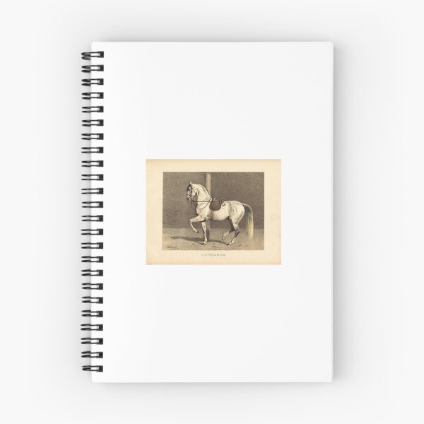 Item preview, Lippizaner: Schooling for the Piaffe  designed and sold by queen-consort.
