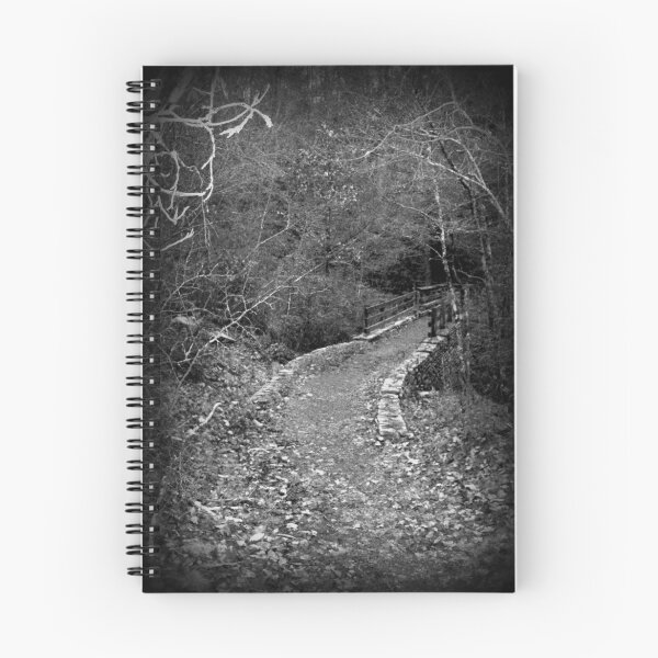 Item preview, Path Over A Fall  designed and sold by Paul Lubaczewski.