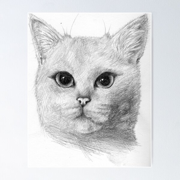 Discover 177+ animal realistic sketch super hot