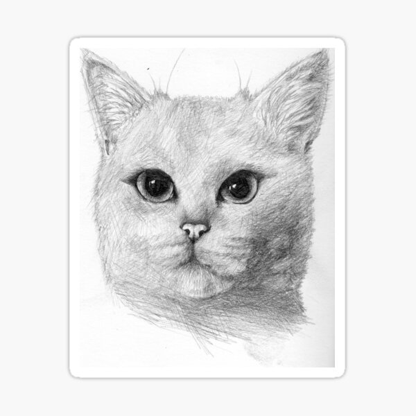 Produits Sur Le Theme De Chat R C3 aliste Redbubble