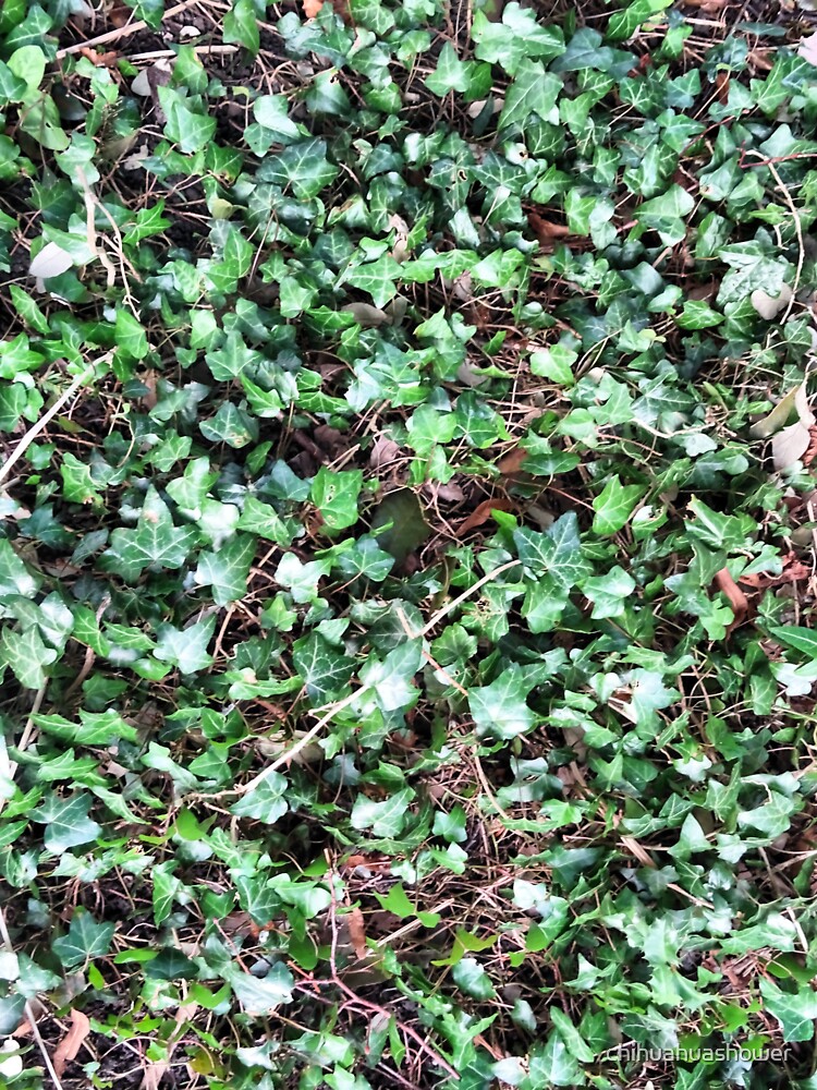 Tangled Ivy Bed by chihuahuashower