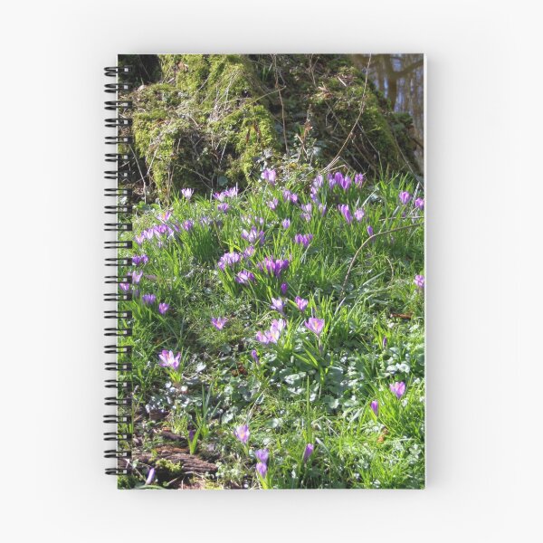 Item preview, Spring has Sprung designed and sold by Jo Nijenhuis.