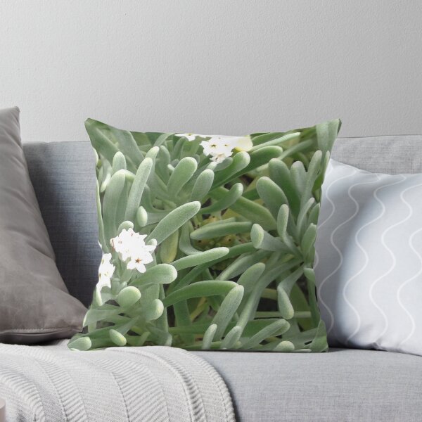 Item preview, Succulents in Cozumel  designed and sold by JeniMay.