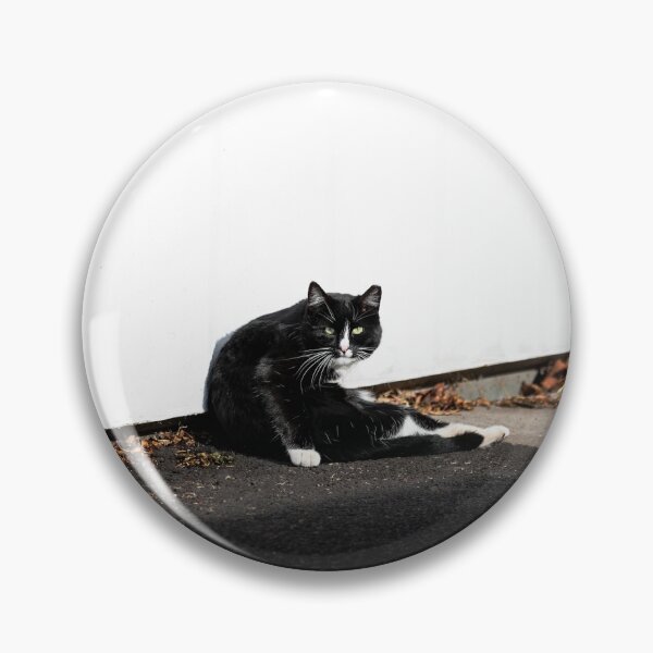 Artikelvorschau, Mürrische Katze entworfen und verkauft von Lmsorenson.