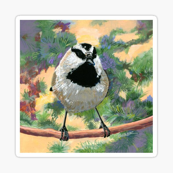 Mountain Chickadee Sticker