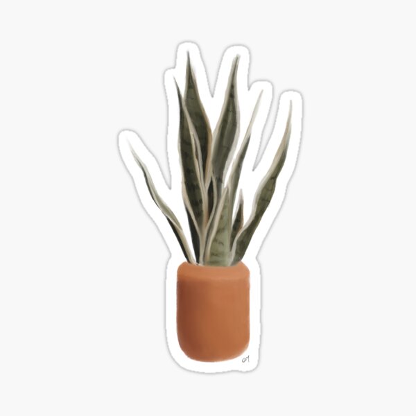 Snake Plant Painting Sticker