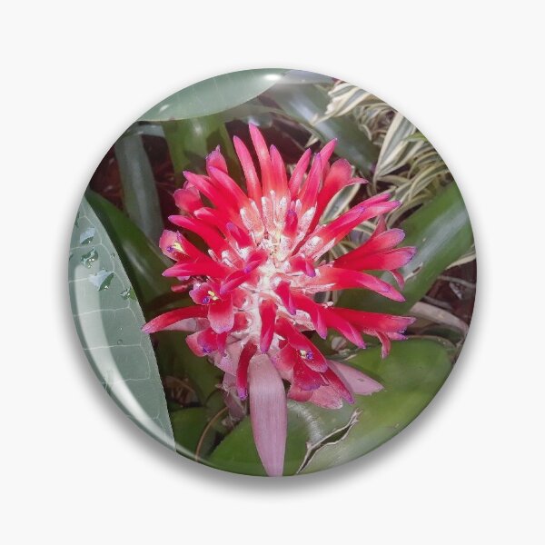 Item preview, Punk flower bloom designed and sold by Lauren Tuite.