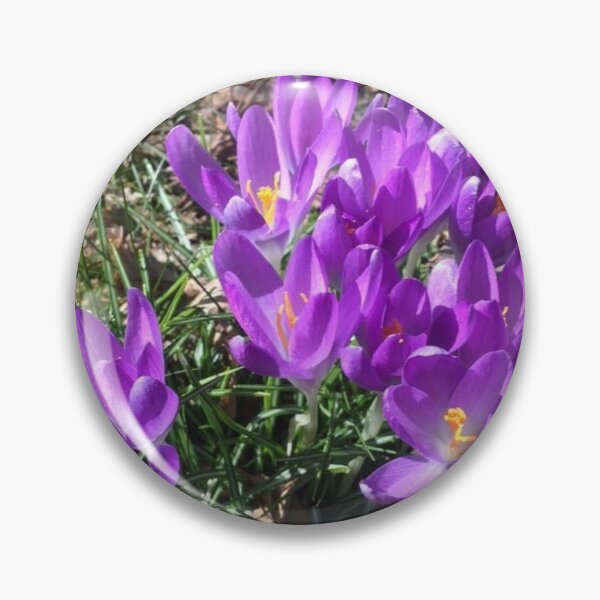 Item preview, Crocus purple designed and sold by Lauren Tuite.