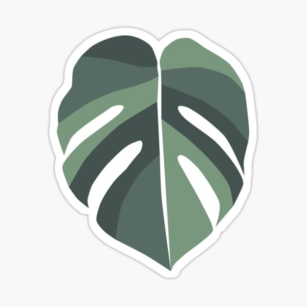 Green Monstera Leaf Sticker