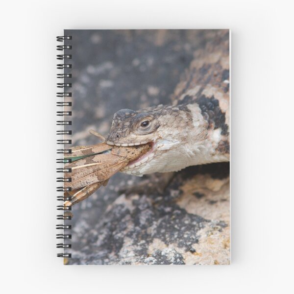 Item preview, Crevice Lizard vs Grasshopper designed and sold by WorldDesign.