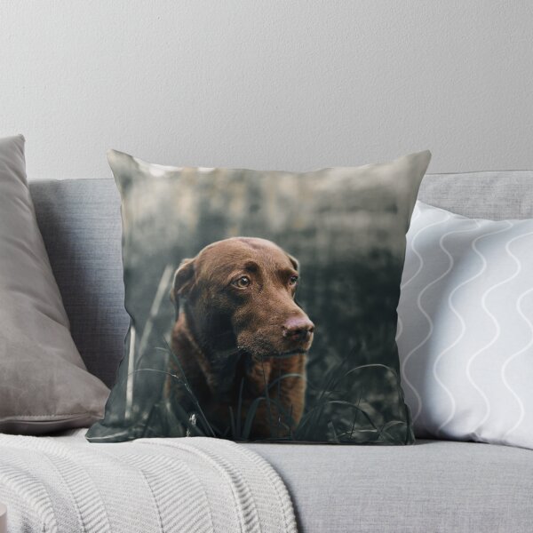 Item preview, Chocolate Labrador designed and sold by curatable.
