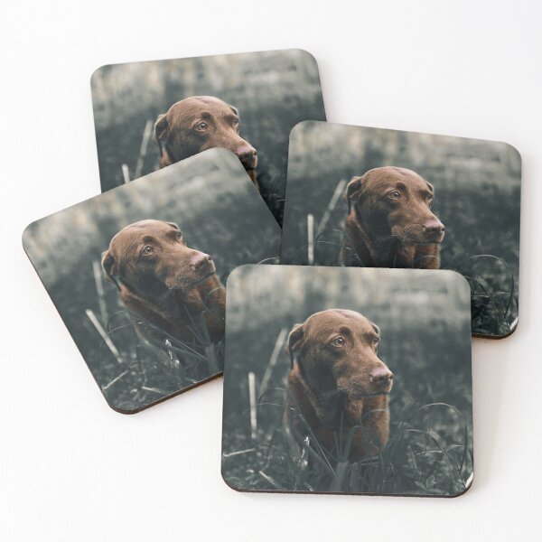 Item preview, Chocolate Labrador designed and sold by curatable.