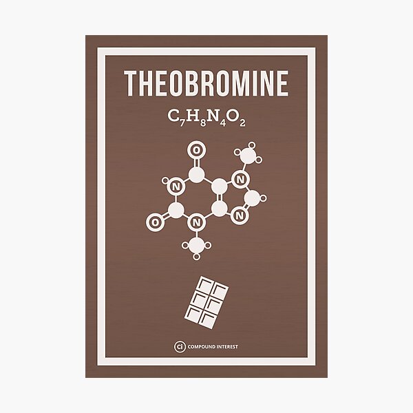 Theobromine Photographic Print