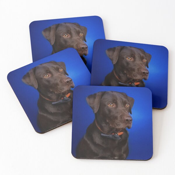 Item preview, Chocolate Labrador with blue background designed and sold by curatable.
