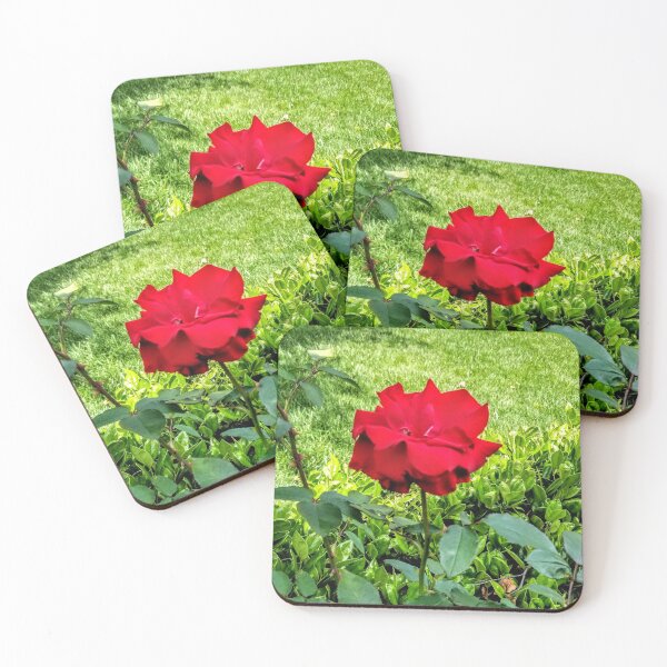 Item preview, Garden rose designed and sold by nutty1kel.