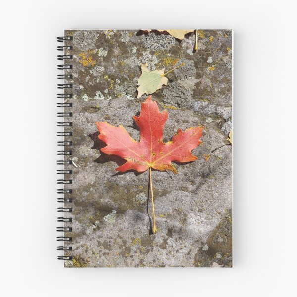 Item preview, Fall leaf designed and sold by KMTC-Design.