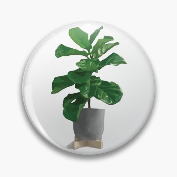 Item preview, Fiddle Leaf Fig Plant designed and sold by farfromvenus.