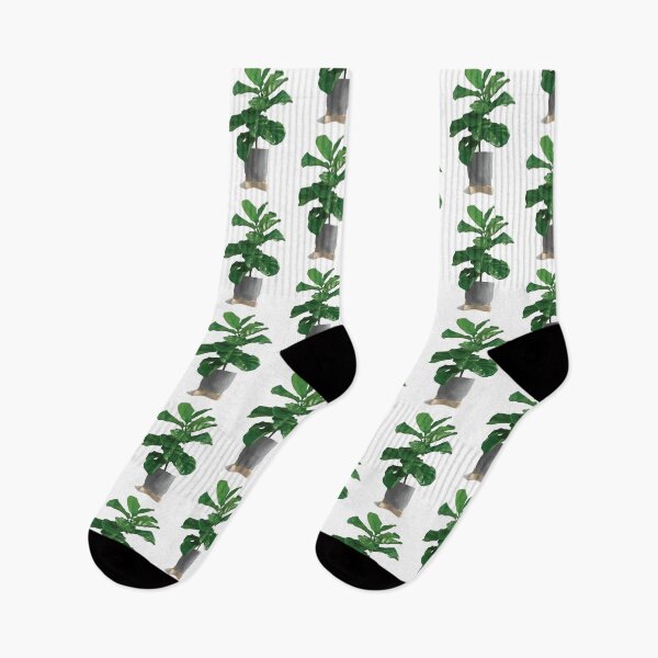 Item preview, Fiddle Leaf Fig Plant designed and sold by farfromvenus.