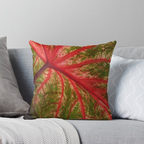 Item preview, Caladium  designed and sold by Carol and Mike Werner.