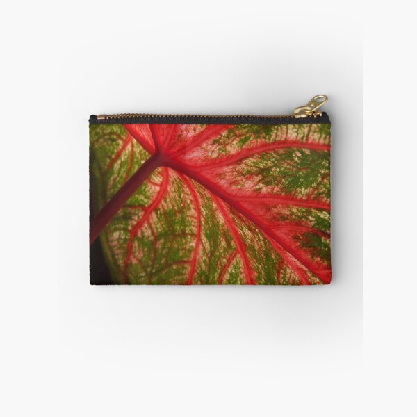 Item preview, Caladium  designed and sold by Carol and Mike Werner.