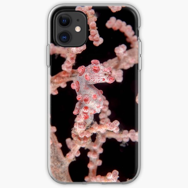 Pygmy Seahorse iPhone Soft Case
