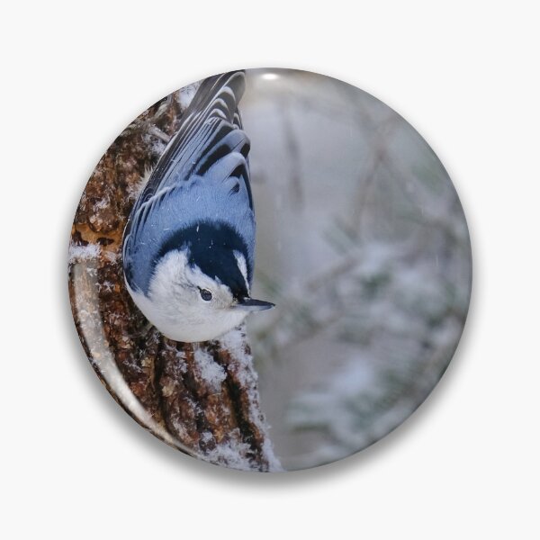 Item preview, White-breasted nuthatch designed and sold by June Krisko.