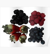 Fruit Poster